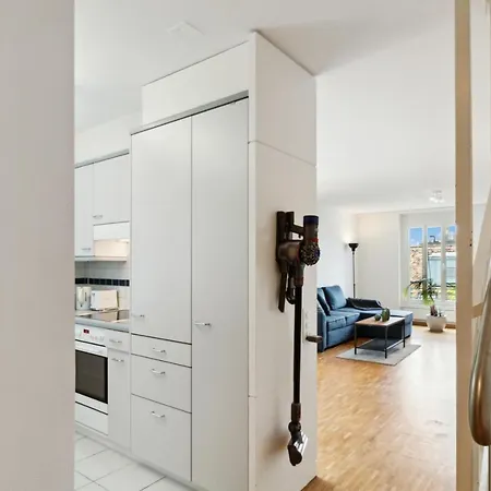 Spacious Hoting Apartament Zurych