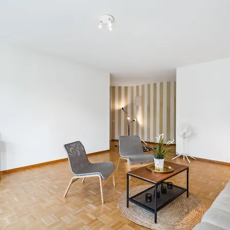 公寓 Spacious Hoting 苏黎世